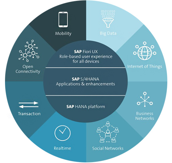SAP ERP Service